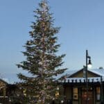 downtown truckee tree lights
